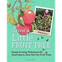 Grow A Little Fruit Tree 1 Grow A Little Fruit Tree