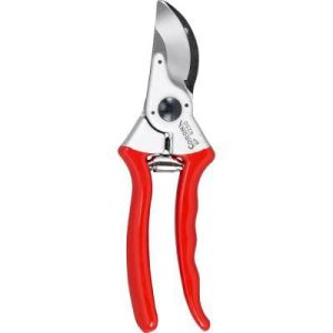 Corona Bypass Pruner