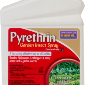Liquid Pyrethin