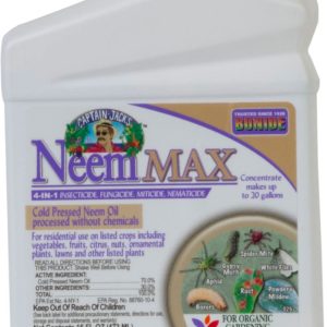 Neem
