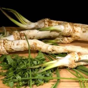 Horseradish