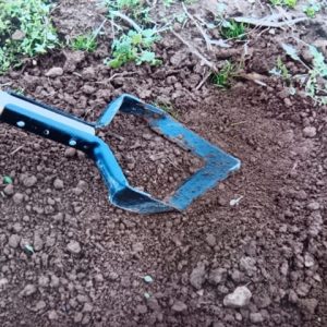 Push-Pull Hoe