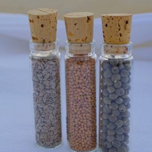 Glass Seed Vial