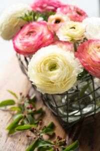 Pastel Mix