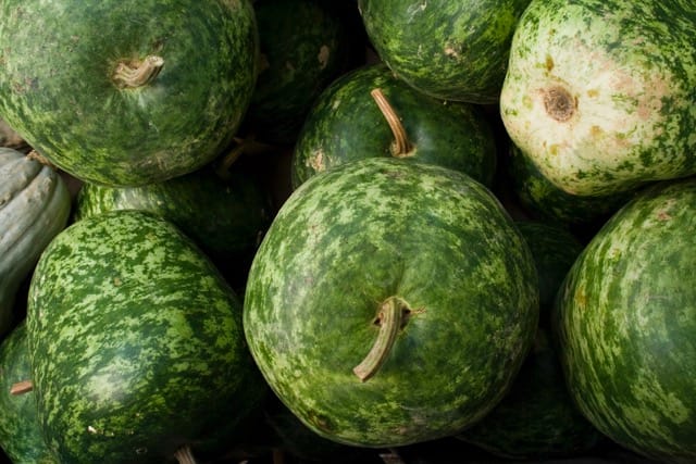 Speckled Apple 1 Speckled Apple