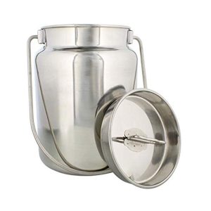 Stainless Gallon Jug