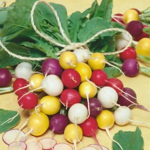 Gum Ball Mix