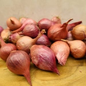 Shallots