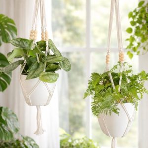Macrame Plant Hanger