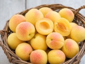 Apricot . Sugar Pearls